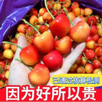 现货智利雷尼尔黄金车厘子黄车厘子礼盒装黄樱桃新鲜水果顺丰3j30mm含