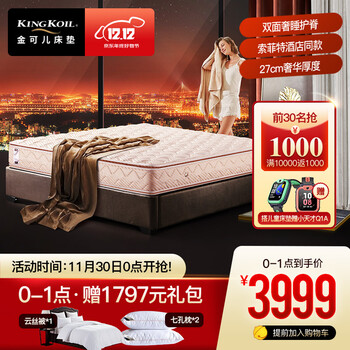 金可儿 席梦思护脊床垫 五星酒店可定制床垫子 斑彩 27cm 偏硬 1.8米*2米