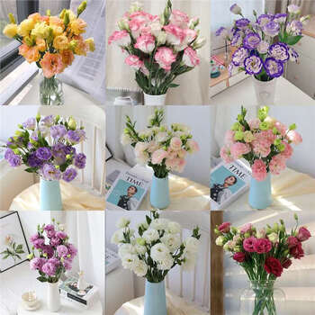 青荷鲜花 随机洋桔梗400克+保鲜剂全利兔-实时优惠快报