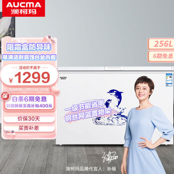 谈谈澳柯玛256升冷柜评测，怎么样？插图