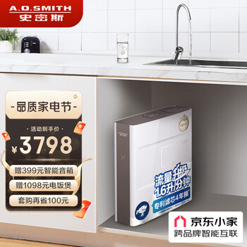 史密斯（A.O.SMITH）家用净水器 DK1600 专利4年RO膜 京东小家智能生态 1.6升/分钟 净水机