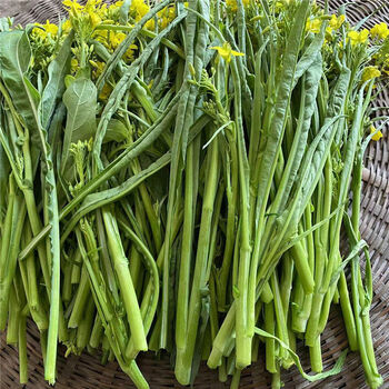 广西桂林农家特色蔬菜当天采摘新鲜柳叶菜花菜心绿菜苔 1斤(不够吃)