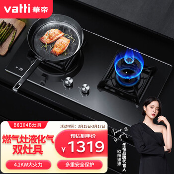 华帝（VATTI）B8204B 五件套燃气灶液化气 双灶具 台式嵌入式 4.2KW猛火家用 钢化玻璃（液化气）