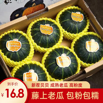 仟阳果舒 当季新茬贝贝南瓜5斤家庭装（净重4.5-5.2斤） 全利兔-实时优惠快报