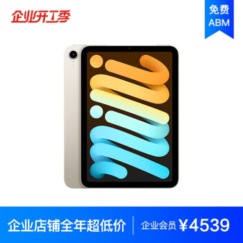 Apple iPad mini 8.3Ӣƽ 2021(256GB WLAN/A15оƬ) ǹɫ MK7V3CH/A*ҵר