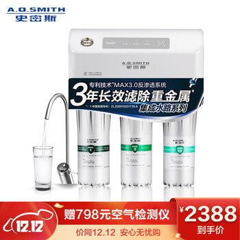 史密斯(A.O.Smith) 家用净水器 专利MAX3.0反渗透滤滤芯 标配专利智能龙头 有桶 净水机 R50VTC1 家电