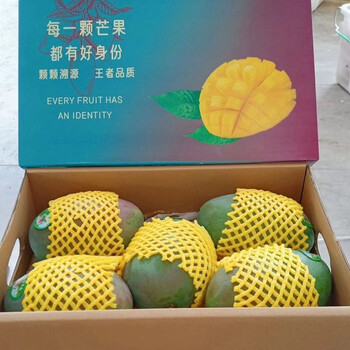 凯特芒 9斤 精选特大果 5-8个食品类商品-全利兔-实时优惠快报