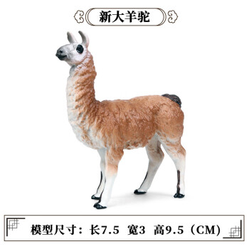 Oenux仿真羊玩具羊驼骆驼玩偶儿童模型摆件实心手办公仔绵山羚羊工艺品 M-636新大羊驼