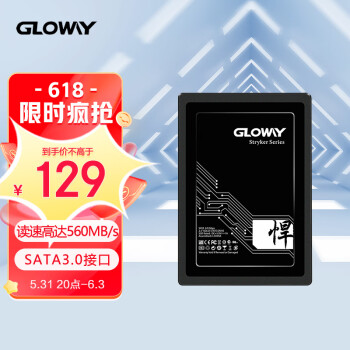 光威（Gloway）480GB SSD固态硬盘 SATA3.0接口 悍将系列