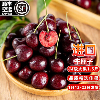 梅珍 智利车厘子新鲜水果 进口樱桃水果当季送礼佳果 1.5斤JJ(28-30mm)