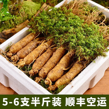池宝 东北特产长白山整支带土鲜人参 5-6支/半斤装全利兔-实时优惠快报