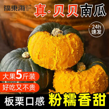 福東海 贝贝南瓜 5斤装食品类商品-全利兔-实时优惠快报