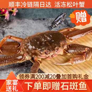 活冻松叶蟹俄罗斯雪蟹长脚蟹板蟹高端海鲜水产 活冻松叶蟹1.8-2斤