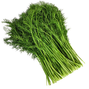 素界小茴香菜新鲜山东农家蔬菜荤香嫩茴香苗回香菜不带根藿香3斤