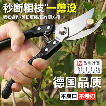 有券的上：果树修枝剪刀 黑金款其它类商品-全利兔-实时优惠快报