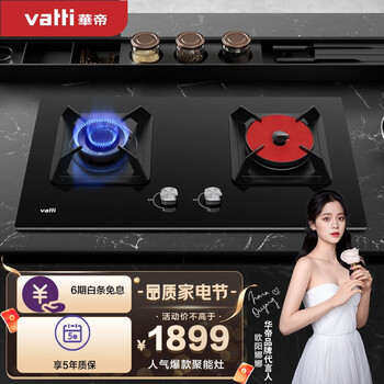 华帝（VATTI）燃气灶（天然气）聚能灶双灶具 家用双灶台鸳鸯灶 分区烹饪 4.5kW猛火 钢化玻璃 JZT-i8H01B