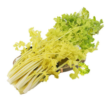 芹菜马家沟空心山东平度新鲜大叶黄玻璃叶菜类