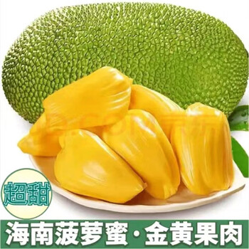 保蓉 生鲜水果俱乐部当季海南三亚特产 菠萝蜜15-19斤全利兔-实时优惠快报