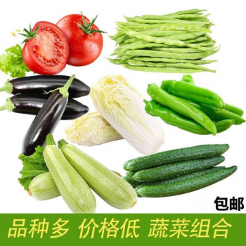 新鲜农家蔬菜组合套餐 混合装多种 白菜青菜土豆 精品五斤装随机装
