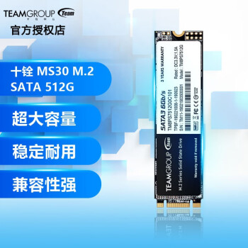 ʮƼSSD̬ӲMP44/MP33/MS30ʼǱ̨ʽSATA3/M.2 NVME ʮ MS30 M.2 SATA 512G