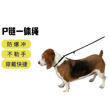 宠星记 P链 尼龙狗绳 长1.3米 粗10mm 项圈牵引绳一体 狗狗 赛级P绳 黑色全利兔-实时优惠快报