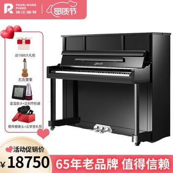 珠江钢琴（PEARLRIVER）里特米勒 Ritmiiller 高档专业立式德国钢琴 J1 黑色