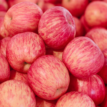 莓梨婆娘山东烟台红富士苹果 5斤装果径75-80mm  时令 生鲜水果