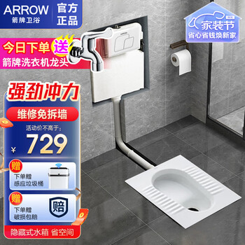 ARROW 箭牌锁具 AE5006CE 隐藏式水箱暗藏蹲便器 不带弯后排+隐藏水箱家具家装类商品-全利兔-实时优惠快报