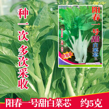 5克 阳春一号甜白菜芯