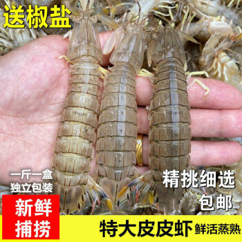 顺丰速运鲜活特大公皮皮虾母虾蒸熟虾姑虾婆虾爬子濑尿虾活虾熟冻新鲜