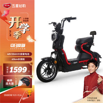 ZUB 五星钻豹 电动车 新国标48V20AH电瓶车代步长续航两轮电动自行车 B6钢琴黑全利兔-实时优惠快报