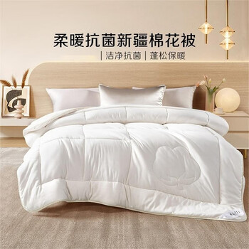 BLISS 百丽丝 棉被棉花被新疆棉花被芯秋冬保暖加厚被子 冬被 200cm*230cm家具家装类商品-全利兔-实时优惠快报