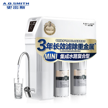 史密斯(A.O.Smith)家用净水器 有效滤除病毒及重金属 1.6升/分钟 无桶大流量 净水机 1600M 家电