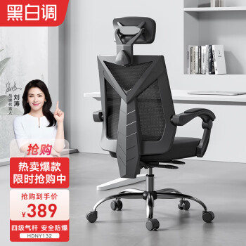 黑白调（Hbada） 黑白调HDNY132 人体工学椅电脑椅电竞椅办公椅子老板椅靠背家用可躺旋转 干练-幻影黑-标准版