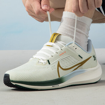 NIKE 耐克 男鞋冬季AIR ZOOM PEGASUS 40运动鞋跑步鞋FV3631-081 FV3631-081 42运动户外类商品-全利兔-实时优惠快报