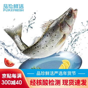 品珍鲜活三去白蕉海鲈鱼净重400-450g/条（去鳞去鳃去内脏）生鲜鱼类 经核酸检测 净重400g*3条