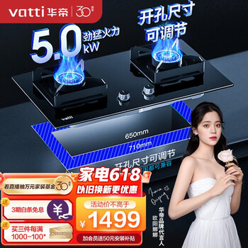 华帝（VATTI）燃气灶（天然气）家用嵌入式猛火双灶台灶具 5.0kW大火力 可调节底盘 熄火保护 JZT-i10066B