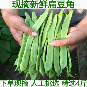 扁豆角新鲜扁芸豆豆角4斤四季豆刀豆新鲜蔬菜农家种植