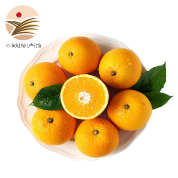 麻阳冰糖橙 5斤装果径55-60mm 现摘现发 新鲜橙子水果