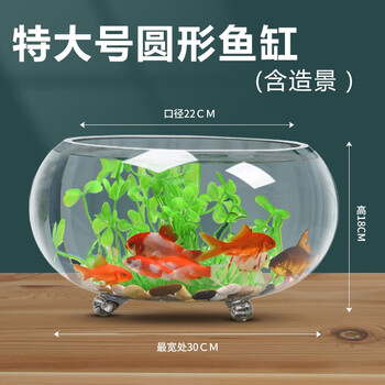 喜莱卡桌面鱼缸小鱼缸办公室小型桌面金鱼缸小精致迷你热带鱼缸水族箱
