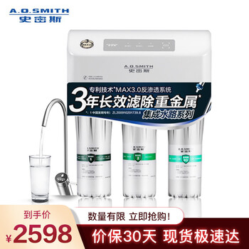 史密斯(A.O.Smith) 家用净水器 专利MAX3.0反渗透滤滤芯 标配专利智能龙头 有桶 净水机 R50VTC1 家电