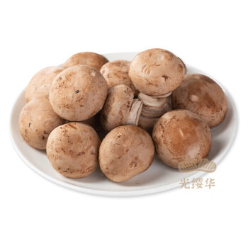 新鲜小褐菇500g小啡菇烹饪惠林顿食材食用菌蘑菇香菇菌菇珍宝菇小褐菇