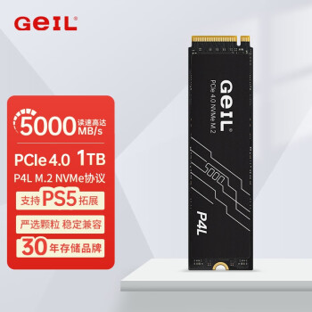 GeIL金邦 P4L固态硬盘PICE4.0台式机SSD笔记本电脑M.2(NVMe协议)高速ps5主机 P4L 1TB PCIE4.0