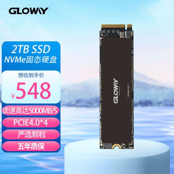 光威（Gloway）2TB SSD固态硬盘 M.2接口(NVMe协议) PCIe 4.0 Professional系列 读速高达5000MB/s