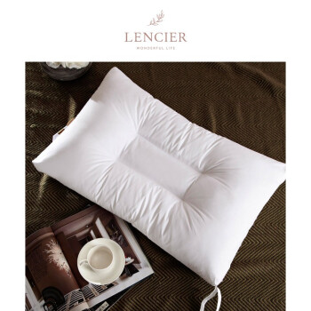 LENCIER兰叙 专为水洗设计 机洗快干 可水洗纤维枕头一对装 白色