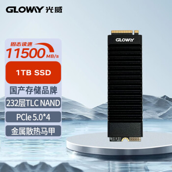 Gloway1TB SSD̬Ӳ M.2ӿ(NVMeЭ) PCIe 5.0  PROϵ