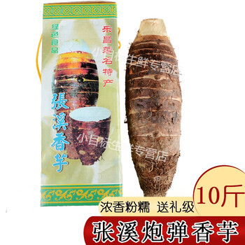 张溪香芋炮弹芋头特大广东韶关乐昌特产现挖精选大芋头槟榔芋一个装