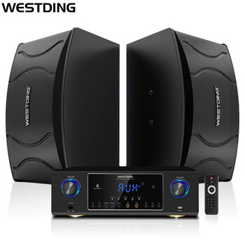 威斯汀（WESTDING）108音响 音箱家庭影院KTV组合套装 会议音响 10寸低音 卡包音响 （黑色）