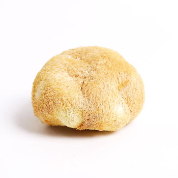 猴头菇 200g*袋（净重）食品类商品-全利兔-实时优惠快报