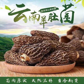 干货 牛肚菌 煲汤红烧材料 食用菌 野生羊肚菌 500g【图片 价格 品牌